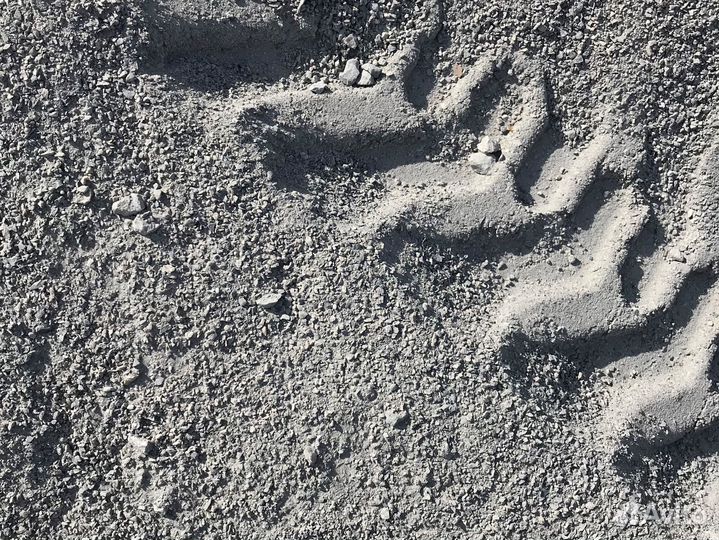 Отсев щебень доставка