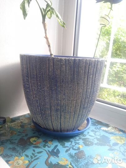 Горшок для цветов