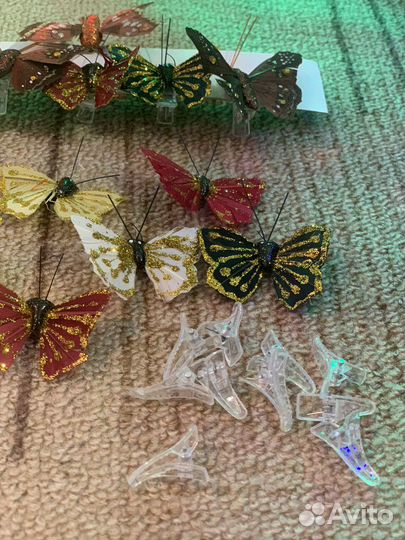 Флористика бабочки