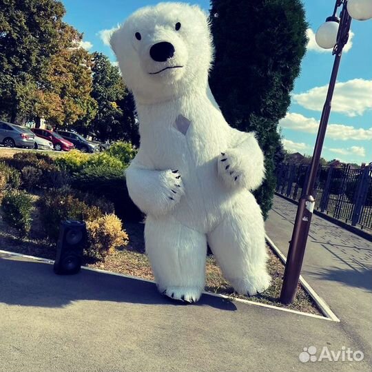 Белый мишка поздравление/Ростовая кукла/Аниматор