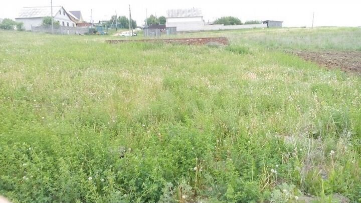 Участок 15 сот. (ИЖС)