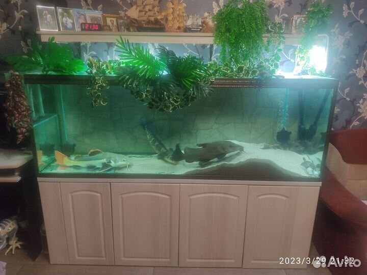 Продам аквариум
