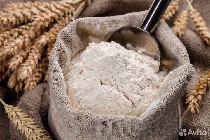Мука пшеничная оптом