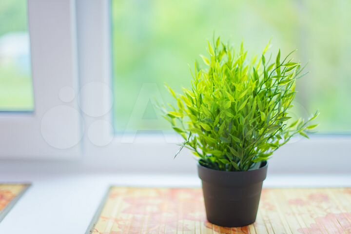 1-к. квартира, 29,4 м², 2/5 эт.