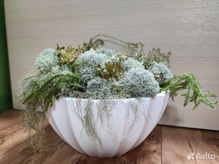 Кашпо со мхом