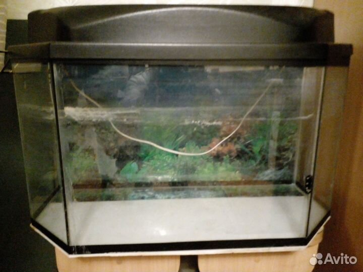 Продам аквариум