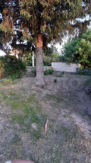 Дом 37 м² на участке 19 сот.