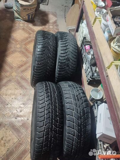 Nexen Winguard 231 185/65 R15 88T