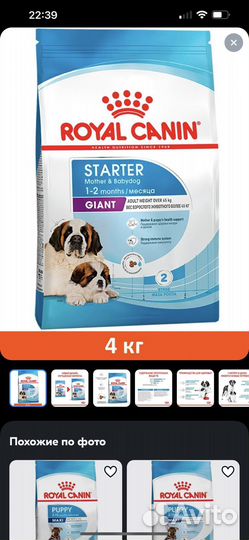 Royal canin giant starter 4кг