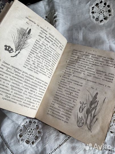 Антикварные книги Флора России
