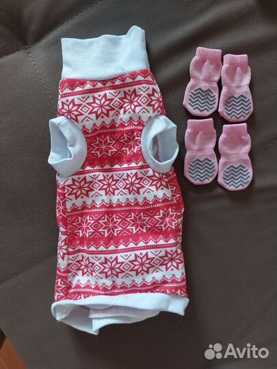 Одежда для собак