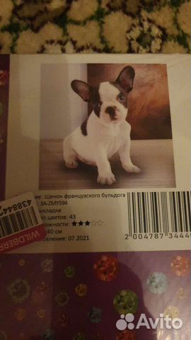 Картина из алмазной мозаики