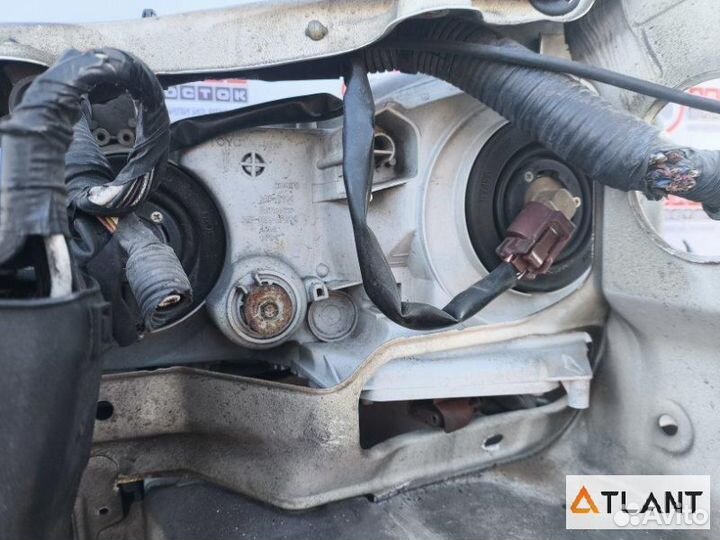 Nose cut toyota gaia