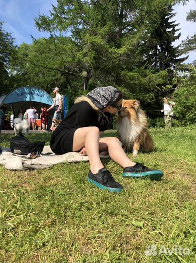 Передержка собак,догситтер,Приморская