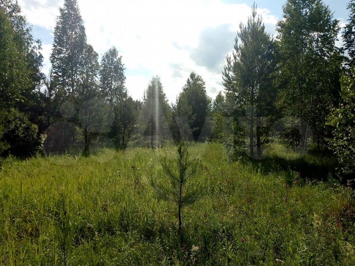 Участок 10 сот. (СНТ, ДНП)