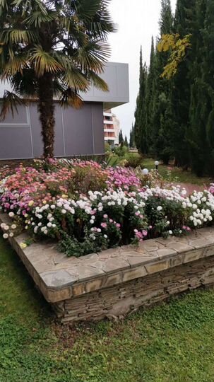 3-к. квартира, 72,5 м², 1/10 эт.