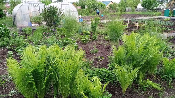 Дача 42 м² на участке 14 сот.