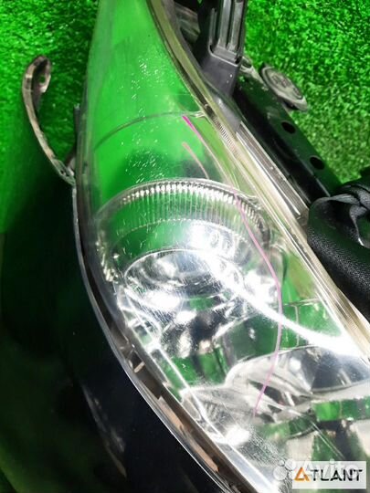 Nose cut toyota wish