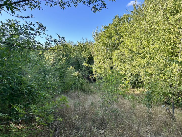 Участок 7,4 сот. (СНТ, ДНП)