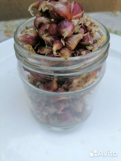 Лук на перо