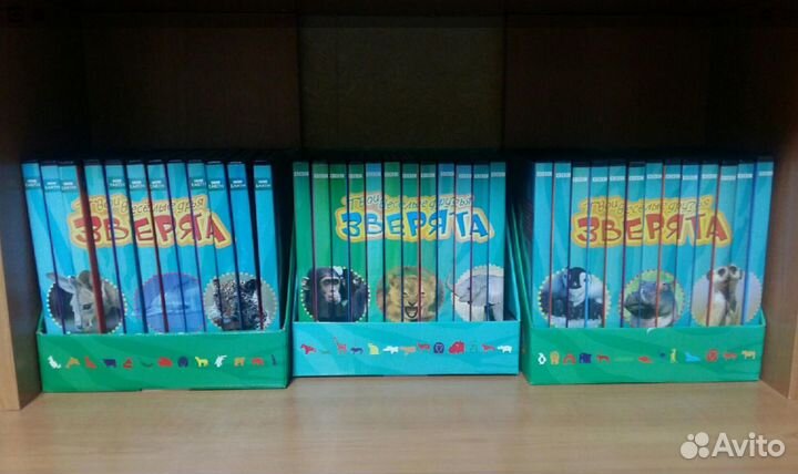 Коллекция дисков о животных