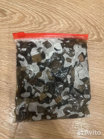 Белые грибы свежие