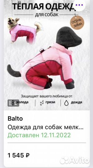 Зимний комбинезон для маленькой собачки