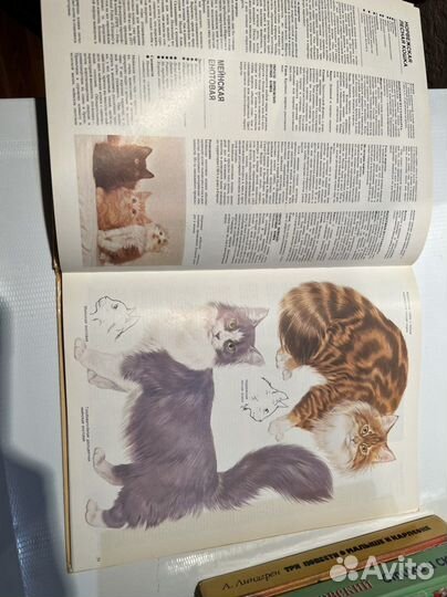 Книга о кошках