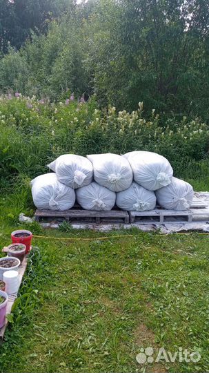 Мох для строительства