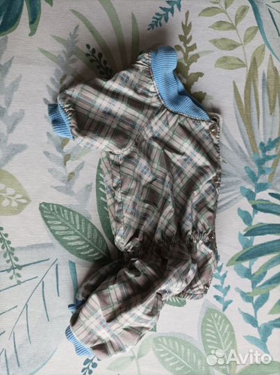 Одежда для маленьких собак