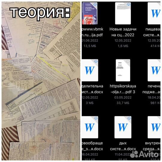 Репетитор по биологии