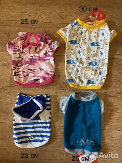 Одежда для собак мелких пород