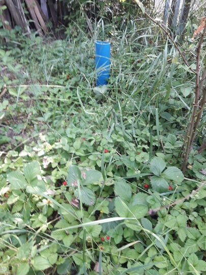 Дача 60 м² на участке 4 сот.