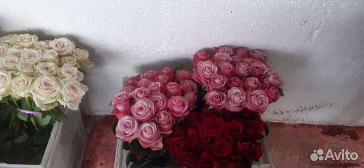 Цветы, розы, букеты