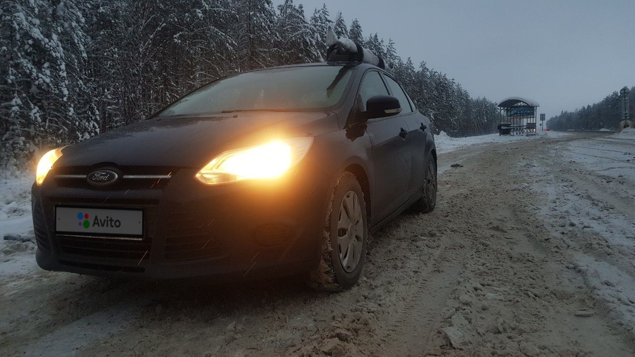 Ford Focus: фото владельца
