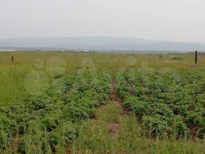 Участок 10 сот. (СНТ, ДНП)