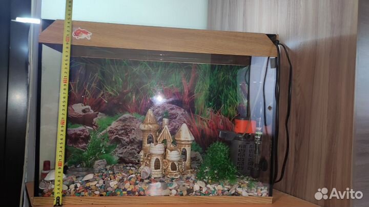 Аквариум