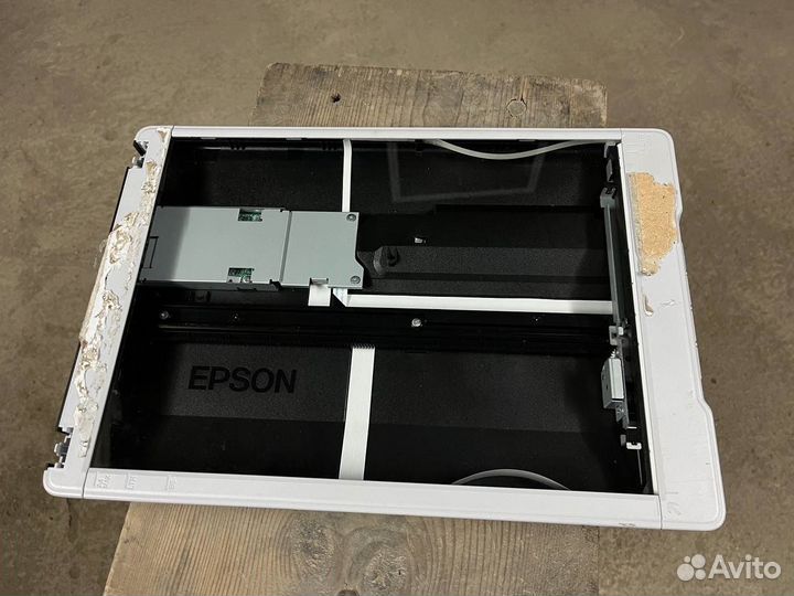 Сканер Epson perfection v19