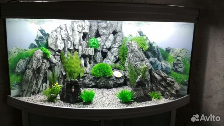 Обслуживание Аквариума Чистка