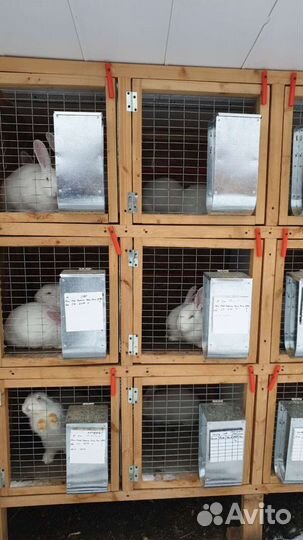 Кормушка для кролика