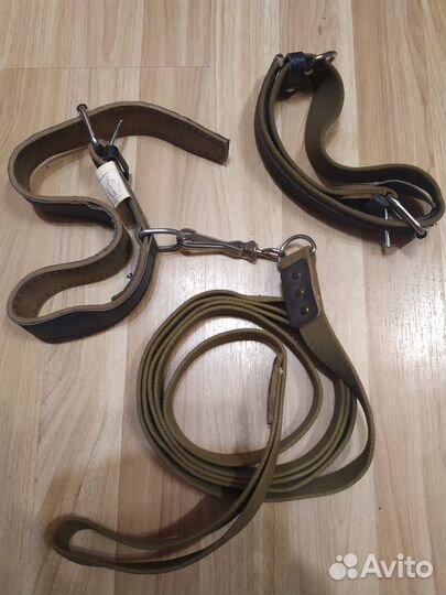 Поводок для большой собаки с ошейником