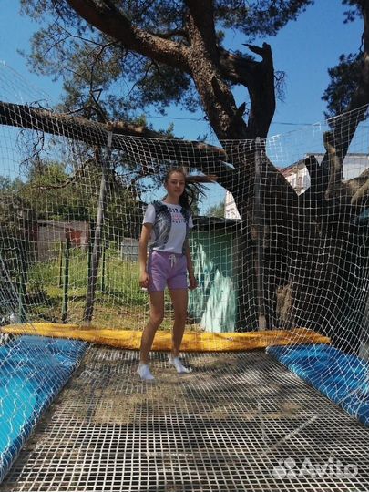 Батут профессиональный 