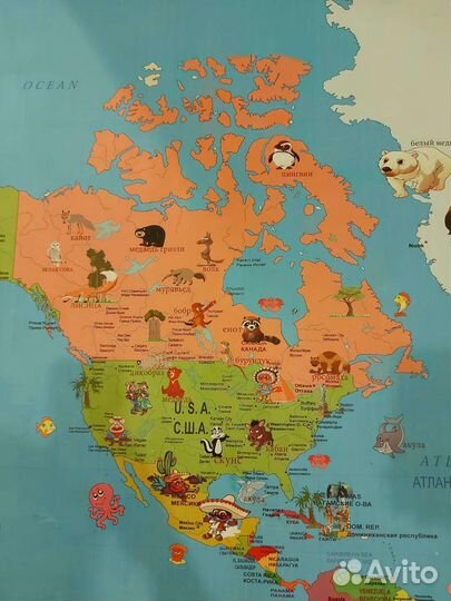 Детская Политическая карта мира