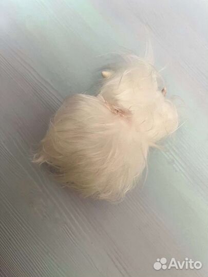 Игрушки ручной работы из полимерной глины