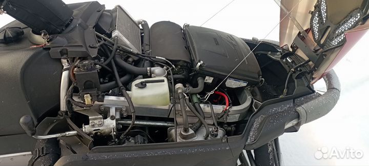 Yamaha Viking professional