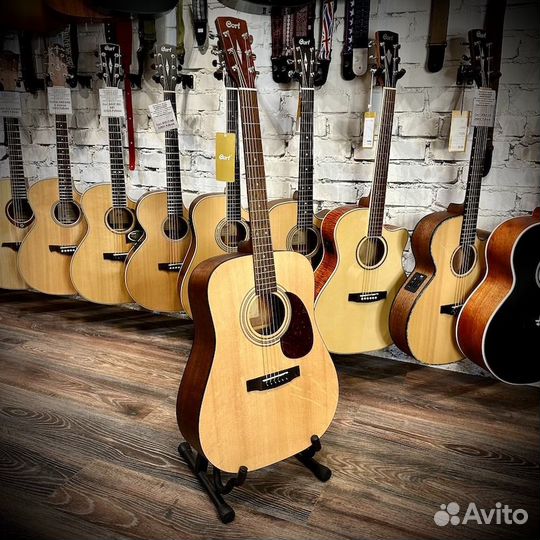 Акустическая гитара Cort earth60-OP