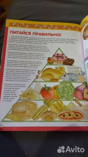 Энциклопедия для детей