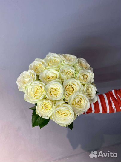 Свежие розы Голландии в наличии опт/розница