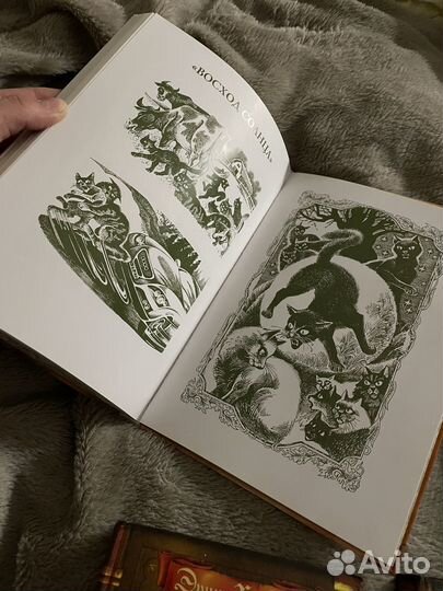 Книги Коты - Воители