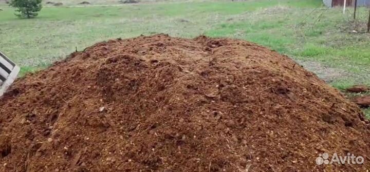 Навоз конский чистый